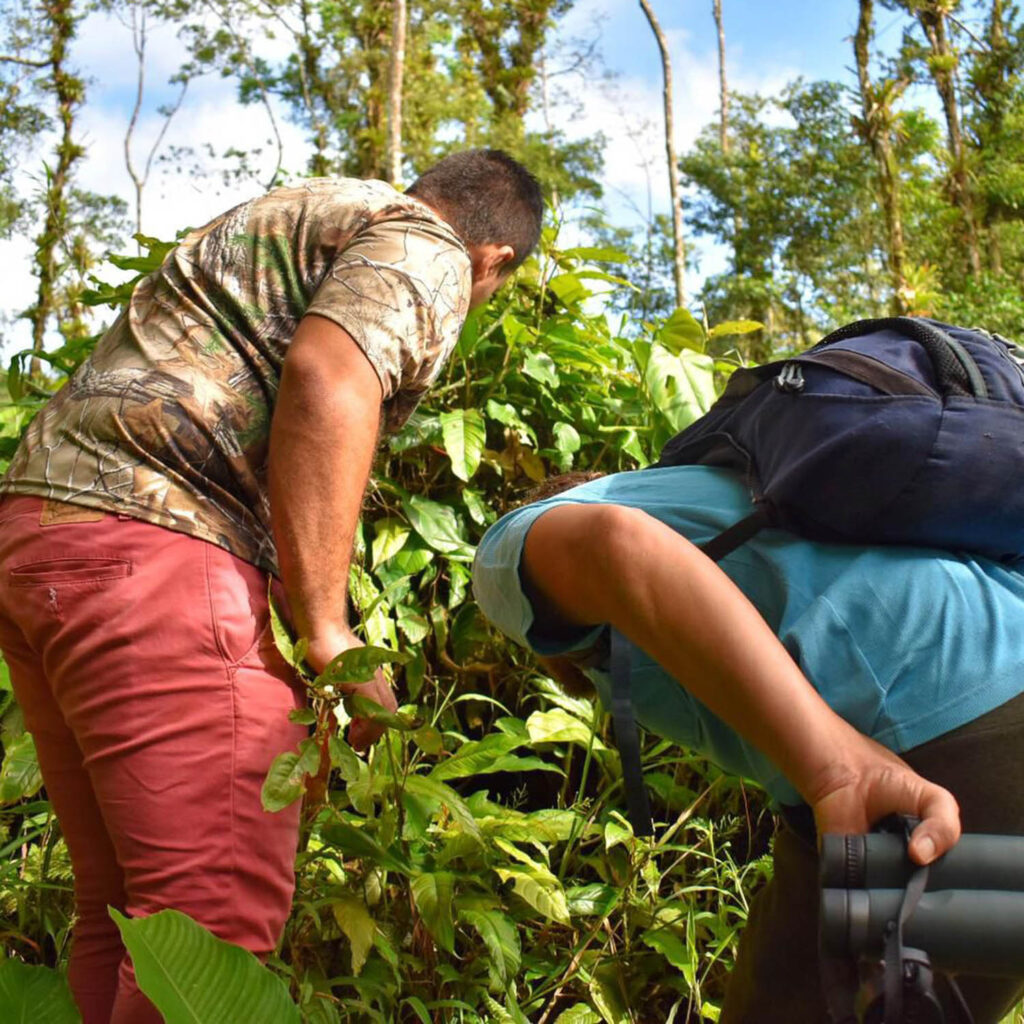 WhatsApp Image 2025-11-07 at 11.46.26 AM (3)