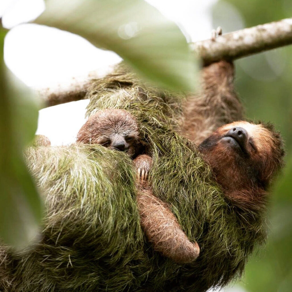 WhatsApp Image 2025-11-07 at 11.46.27 AM (1)