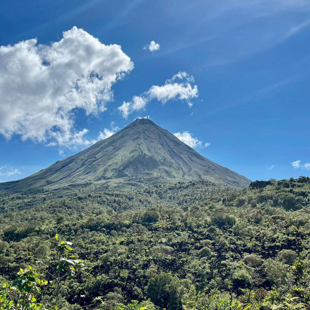 WhatsApp Image 2025-11-07 at 11.47.12 AM