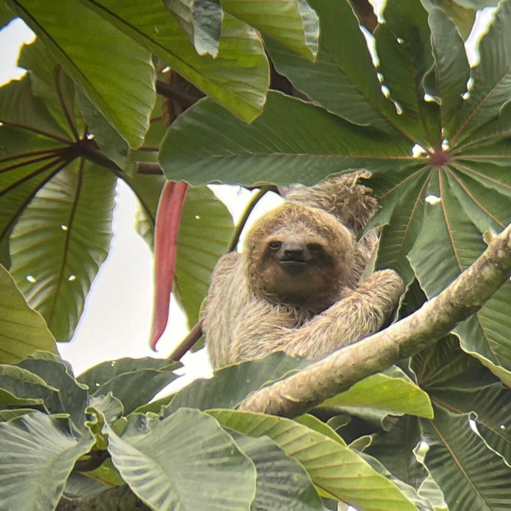 WhatsApp Image 2025-11-07 at 11.47.38 AM