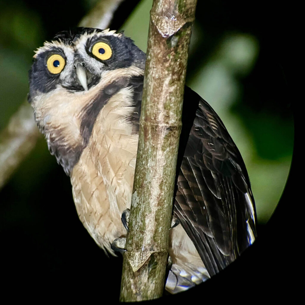 WhatsApp Image 2025-11-07 at 11.49.24 AM