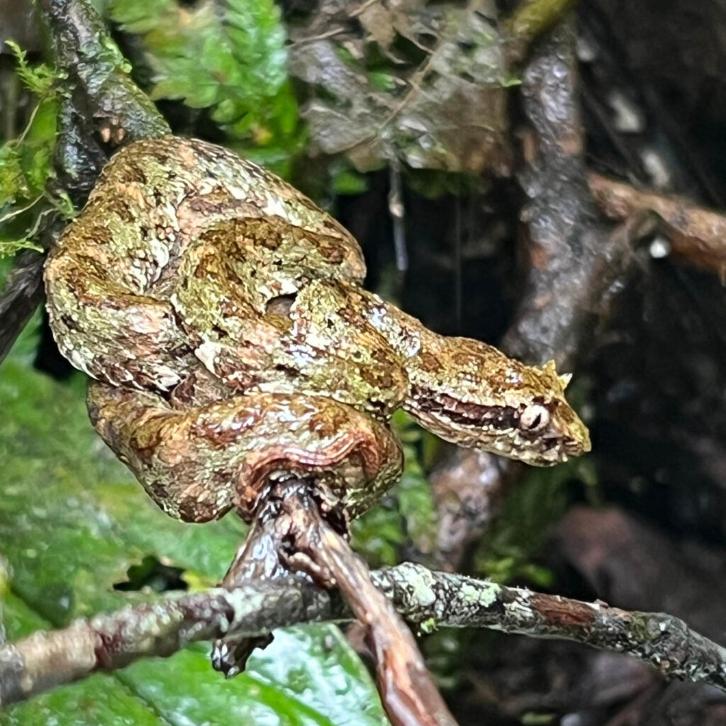 WhatsApp Image 2025-11-07 at 11.49.26 AM