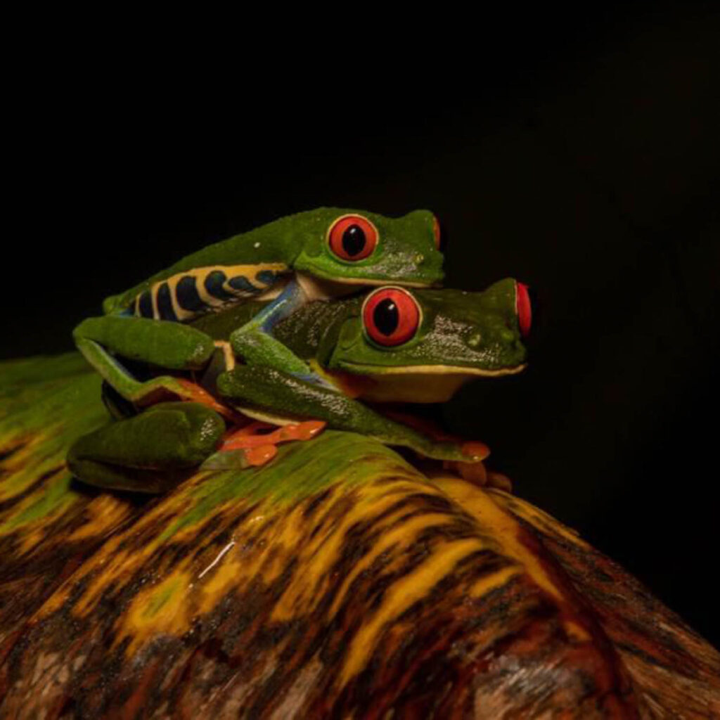 WhatsApp Image 2025-11-07 at 11.51.12 AM (2)