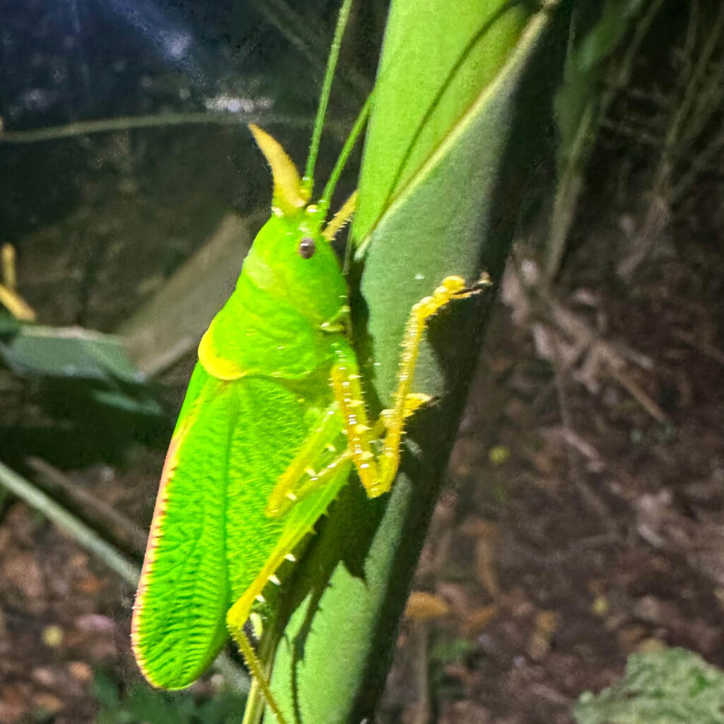 WhatsApp Image 2025-11-07 at 11.51.13 AM (1)