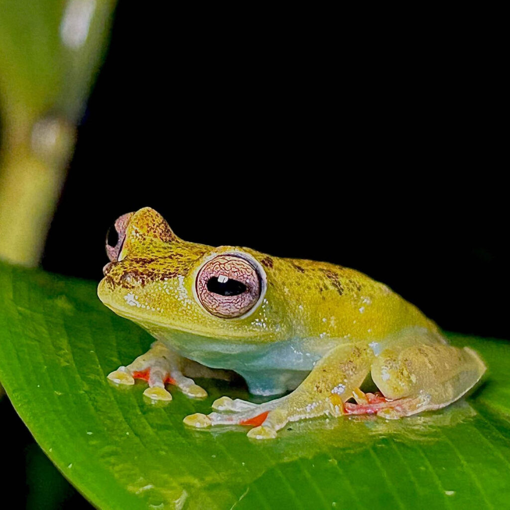 WhatsApp Image 2025-11-07 at 11.51.51 AM