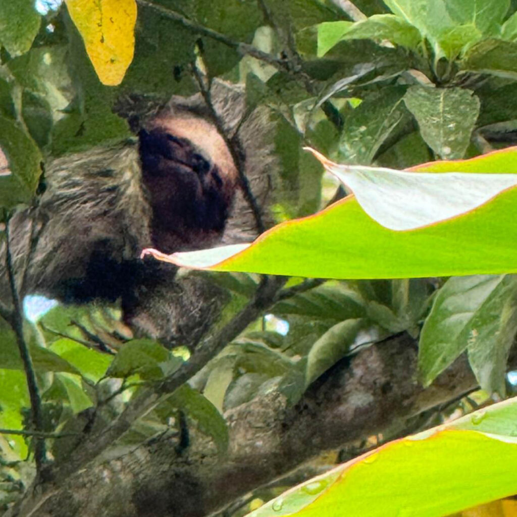 WhatsApp Image 2025-11-07 at 11.55.34 AM