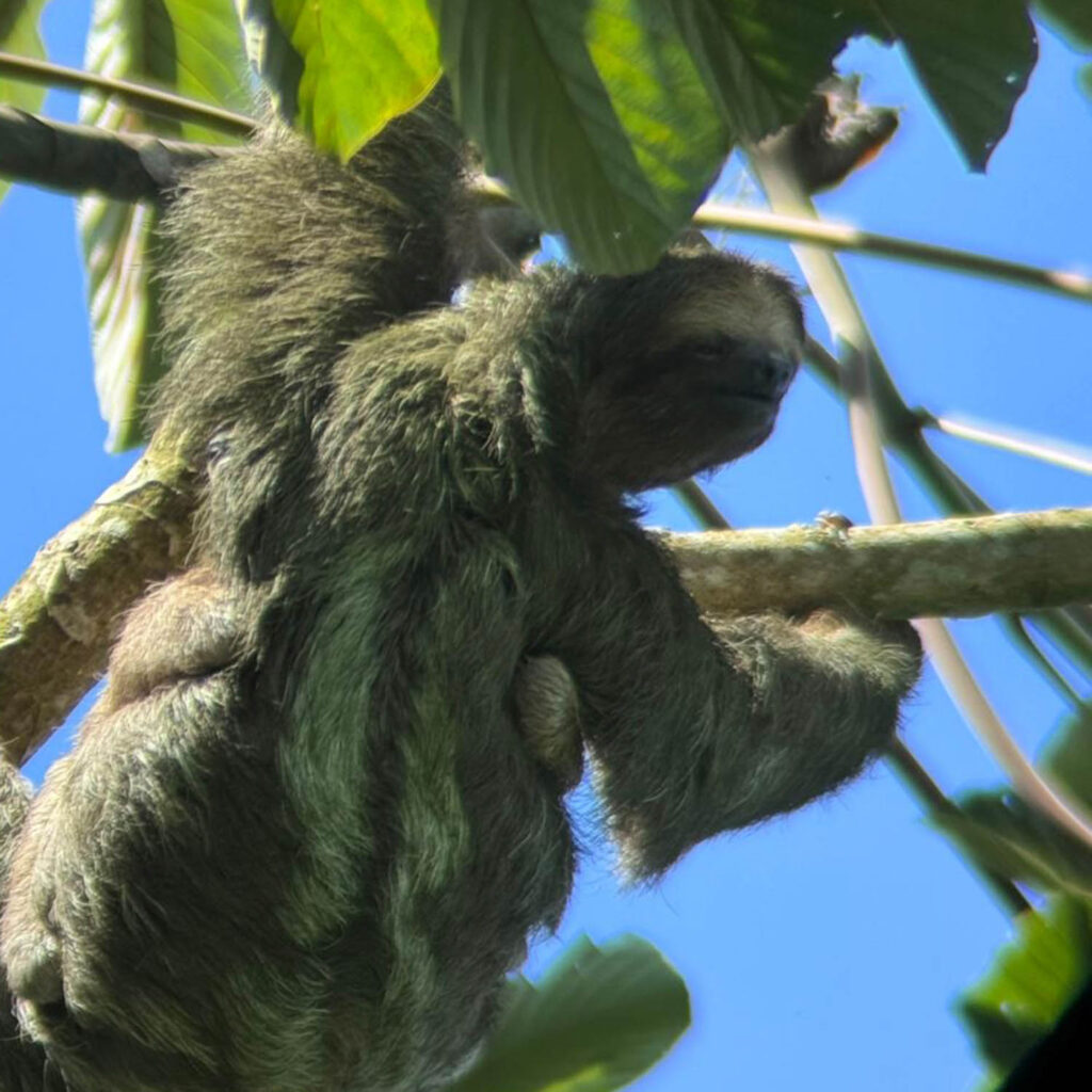 WhatsApp Image 2025-11-07 at 11.55.48 AM (1)