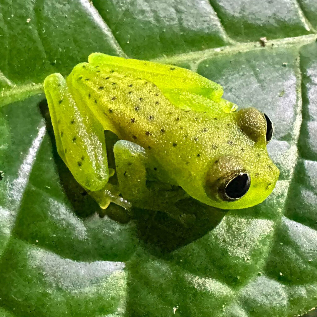 WhatsApp Image 2025-11-07 at 11.56.08 AM