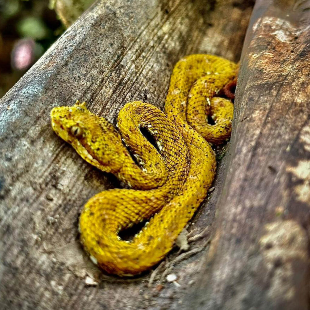 WhatsApp Image 2025-11-07 at 11.56.16 AM