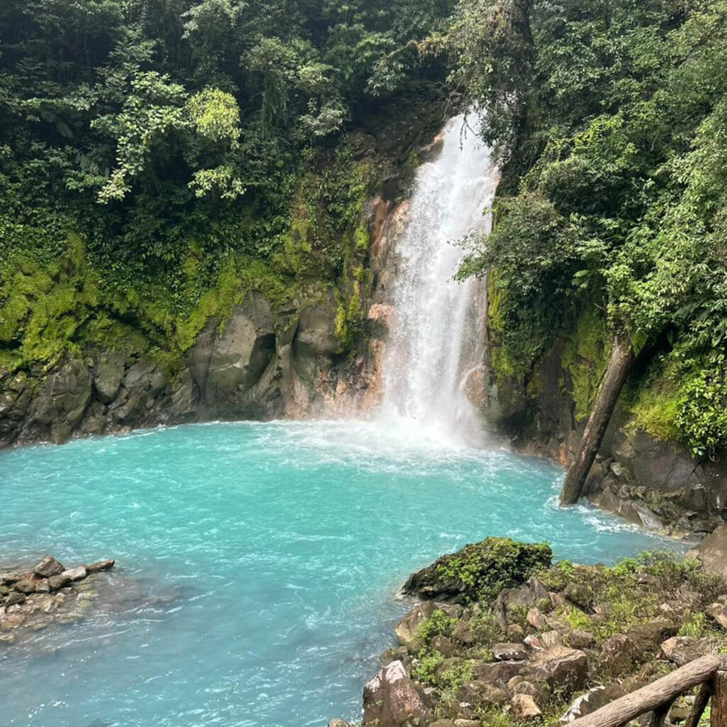 WhatsApp Image 2025-11-07 at 11.56.34 AM