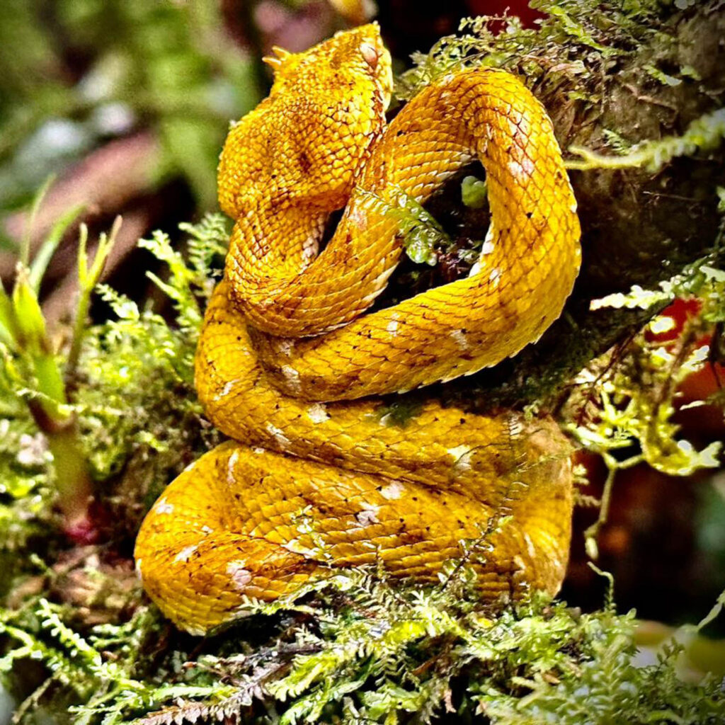 WhatsApp Image 2025-11-07 at 12.02.50 PM